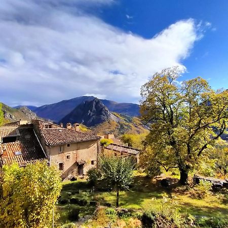 Un Cadre Magnifique, Au Coeur Du Verdon 卡斯特拉讷 外观 照片